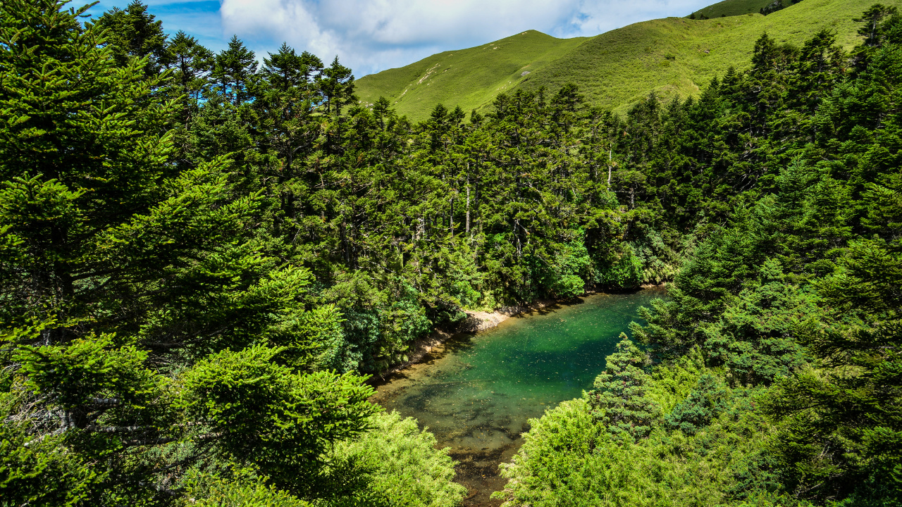 Green Trees on Mountain Under Blue Sky During Daytime. Wallpaper in 1280x720 Resolution