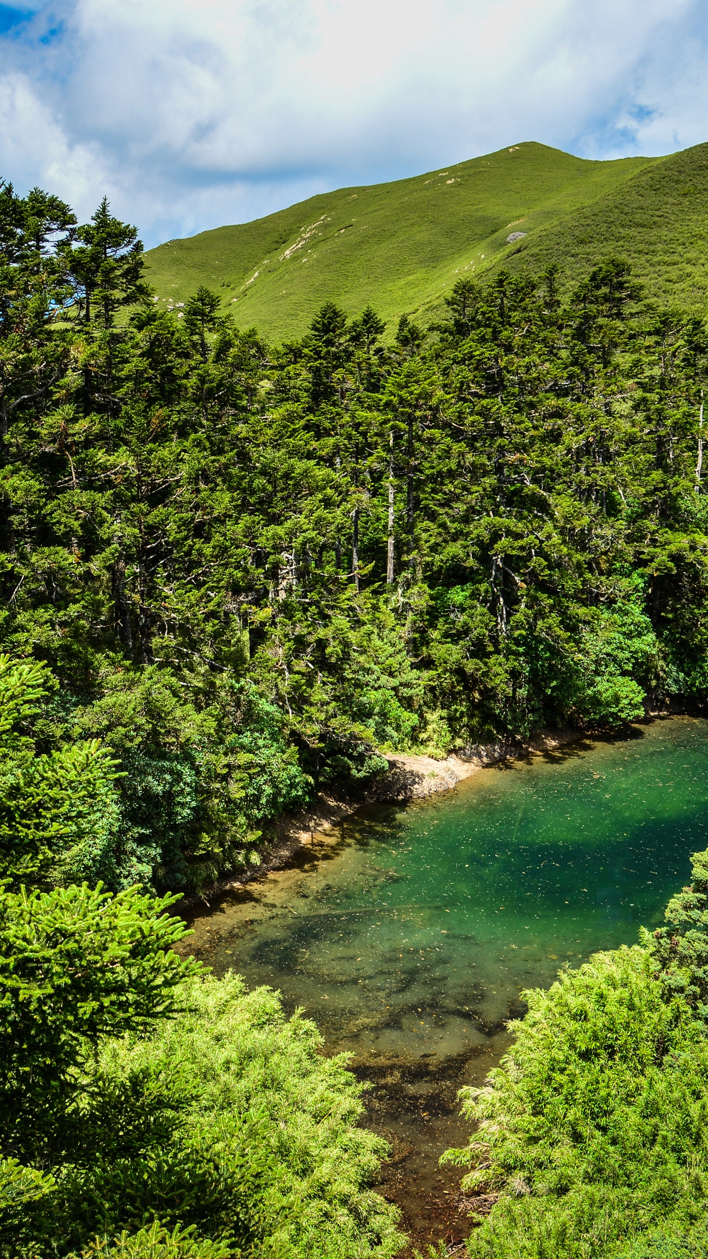 Green Trees on Mountain Under Blue Sky During Daytime. Wallpaper in 1440x2560 Resolution