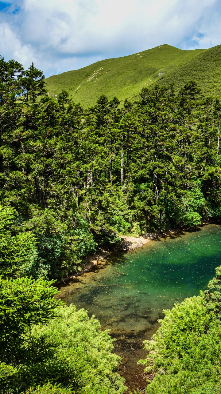 Green Trees on Mountain Under Blue Sky During Daytime. Wallpaper in 720x1280 Resolution