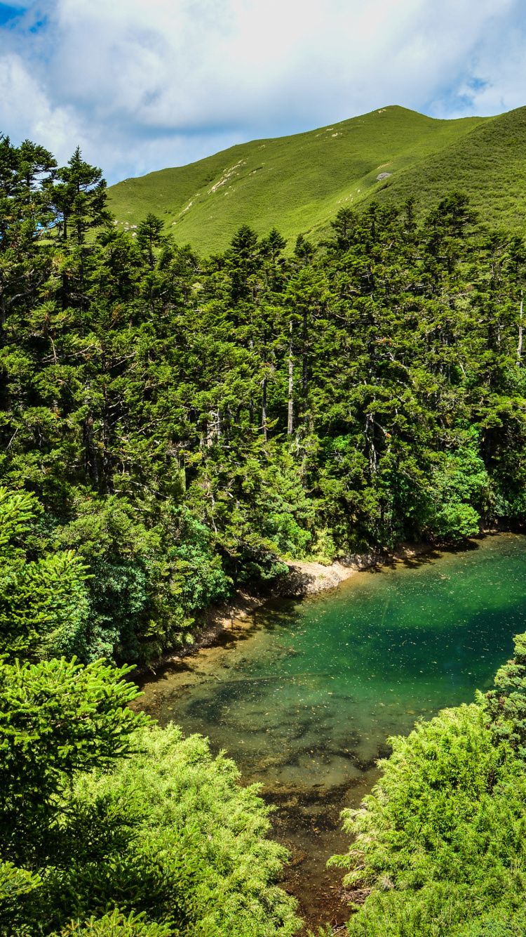 Green Trees on Mountain Under Blue Sky During Daytime. Wallpaper in 750x1334 Resolution