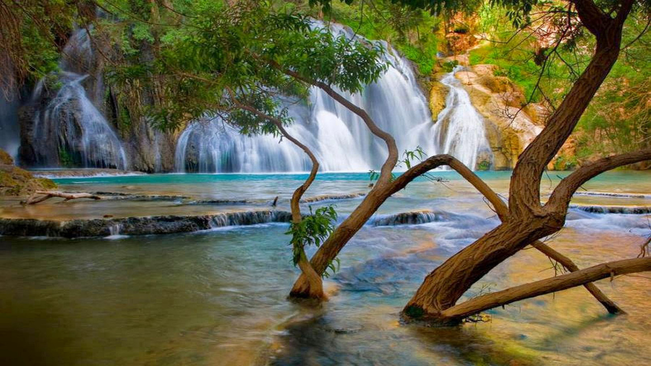 Brown Tree Branch on Water Falls. Wallpaper in 1280x720 Resolution