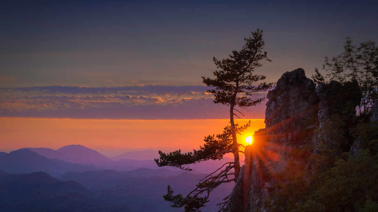 Arbres Verts Sur la Montagne Pendant le Coucher du Soleil. Wallpaper in 1280x720 Resolution