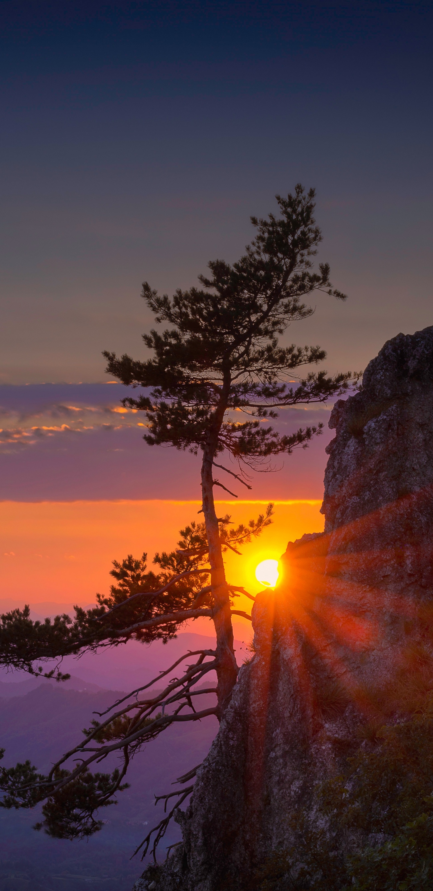 Arbres Verts Sur la Montagne Pendant le Coucher du Soleil. Wallpaper in 1440x2960 Resolution