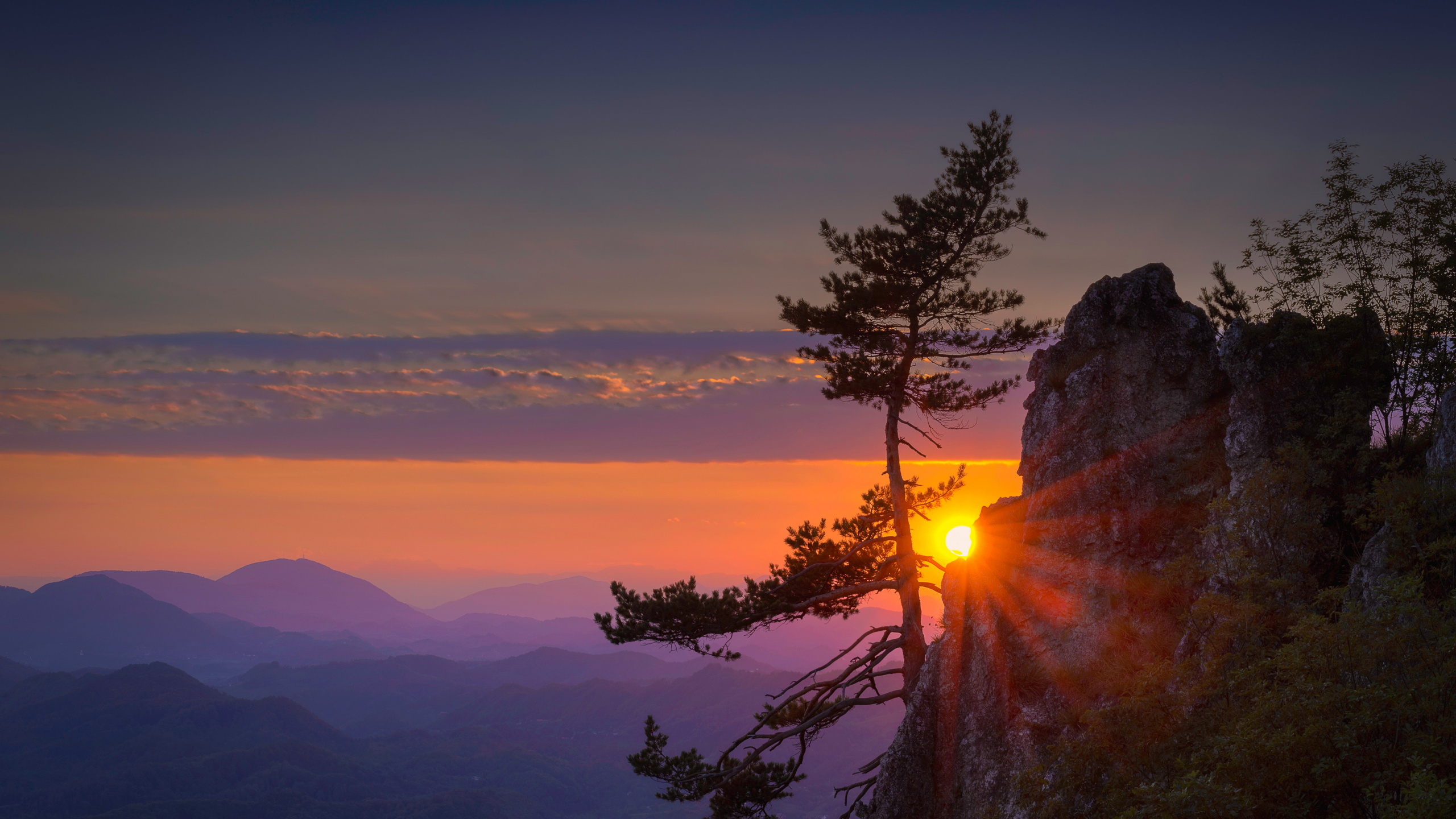 Arbres Verts Sur la Montagne Pendant le Coucher du Soleil. Wallpaper in 2560x1440 Resolution