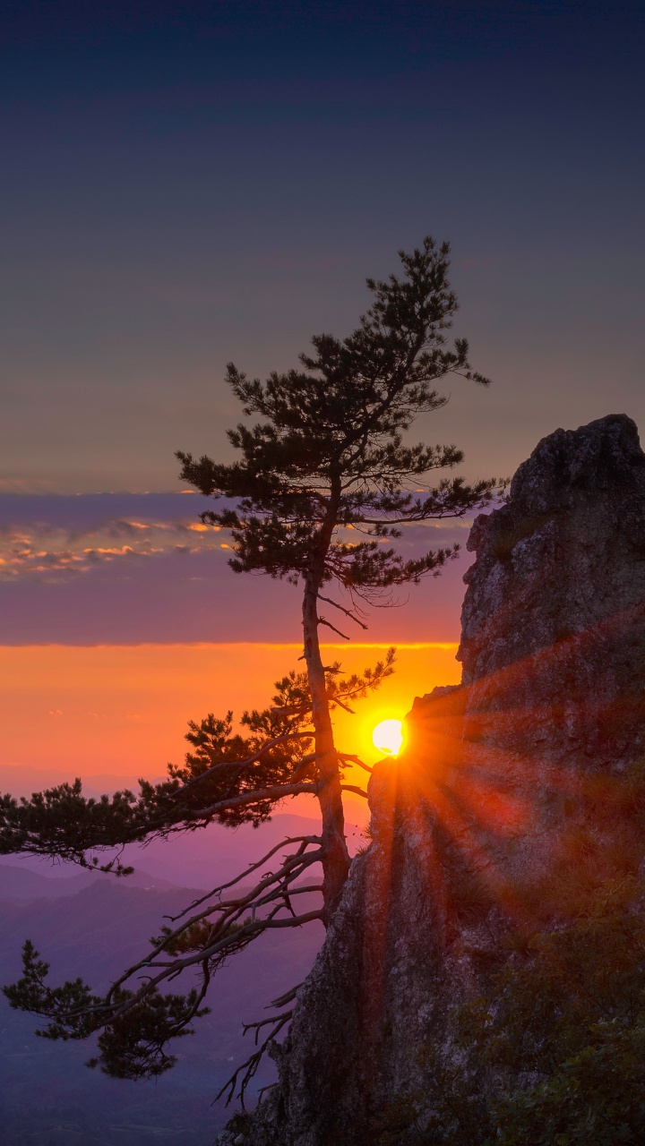 Green Trees on Mountain During Sunset. Wallpaper in 720x1280 Resolution