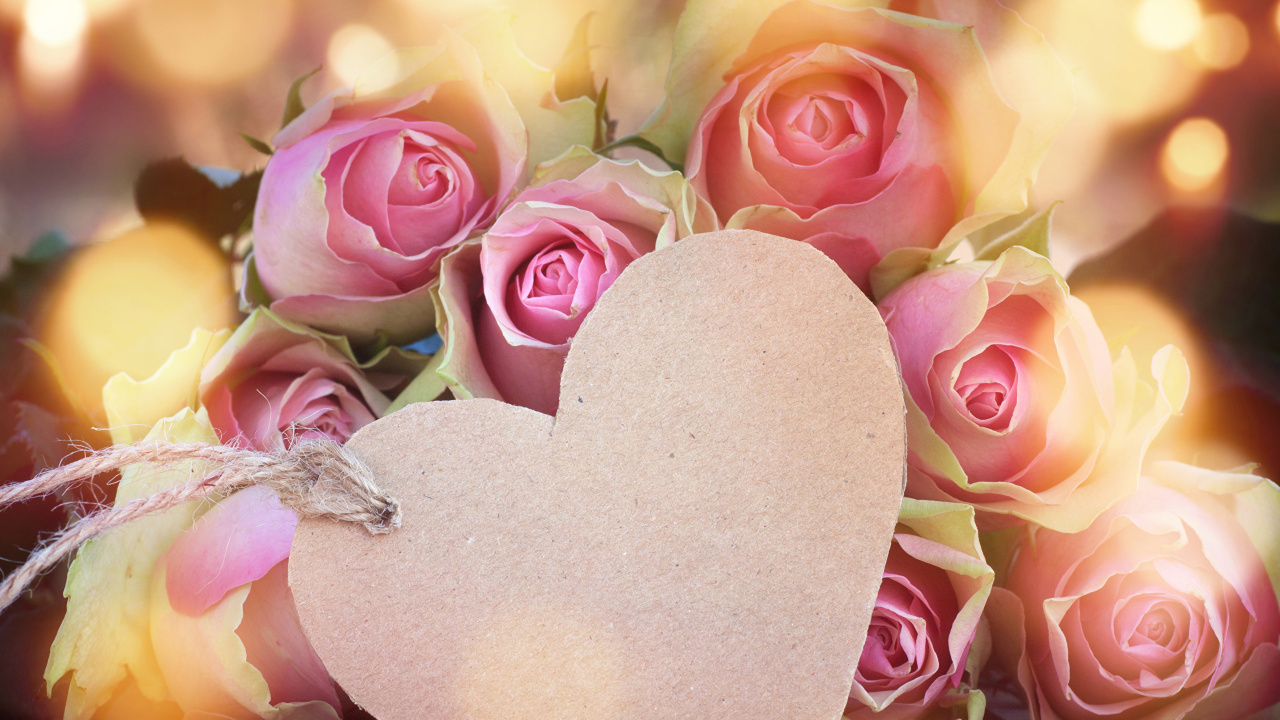 Pink Roses and Heart Shaped Heart Shaped Stone. Wallpaper in 1280x720 Resolution