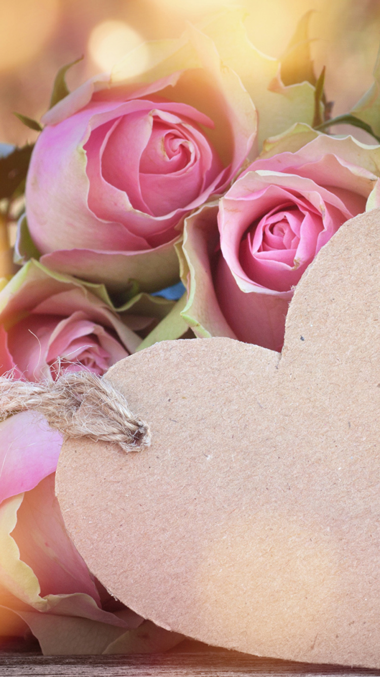 Pink Roses and Heart Shaped Heart Shaped Stone. Wallpaper in 750x1334 Resolution