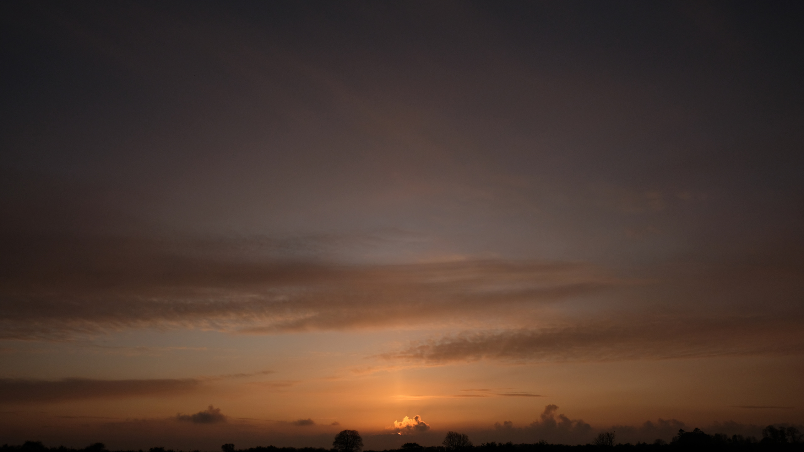 Silhouette of Trees During Sunset. Wallpaper in 2560x1440 Resolution