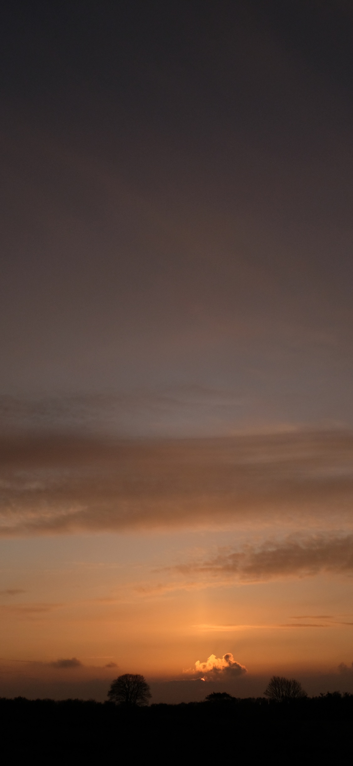 Silueta de Árboles Durante la Puesta de Sol. Wallpaper in 1125x2436 Resolution