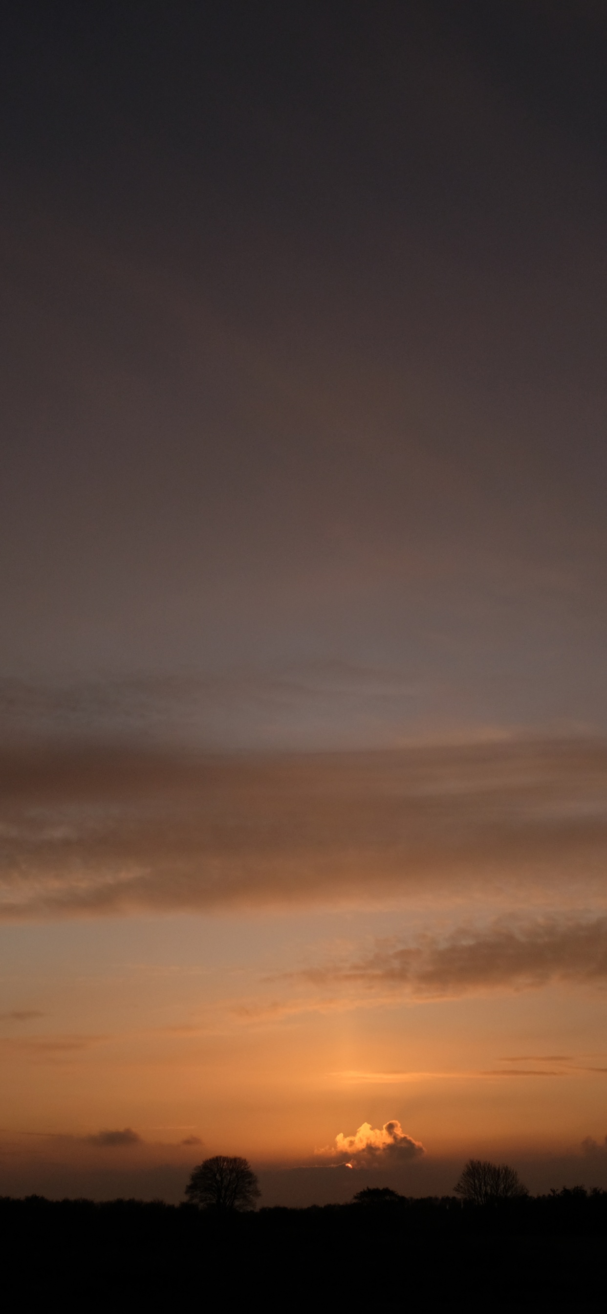 Silueta de Árboles Durante la Puesta de Sol. Wallpaper in 1242x2688 Resolution