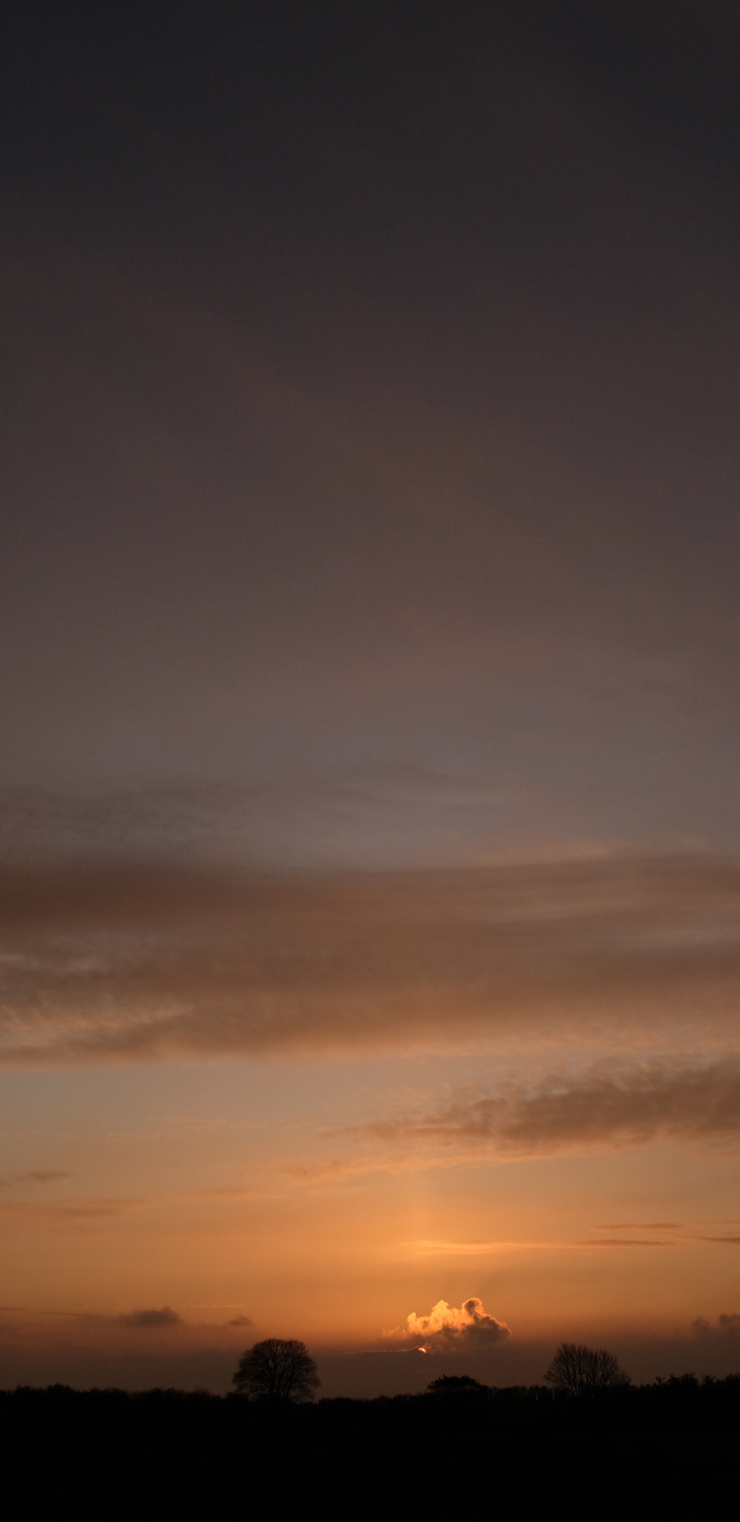 Silueta de Árboles Durante la Puesta de Sol. Wallpaper in 1440x2960 Resolution