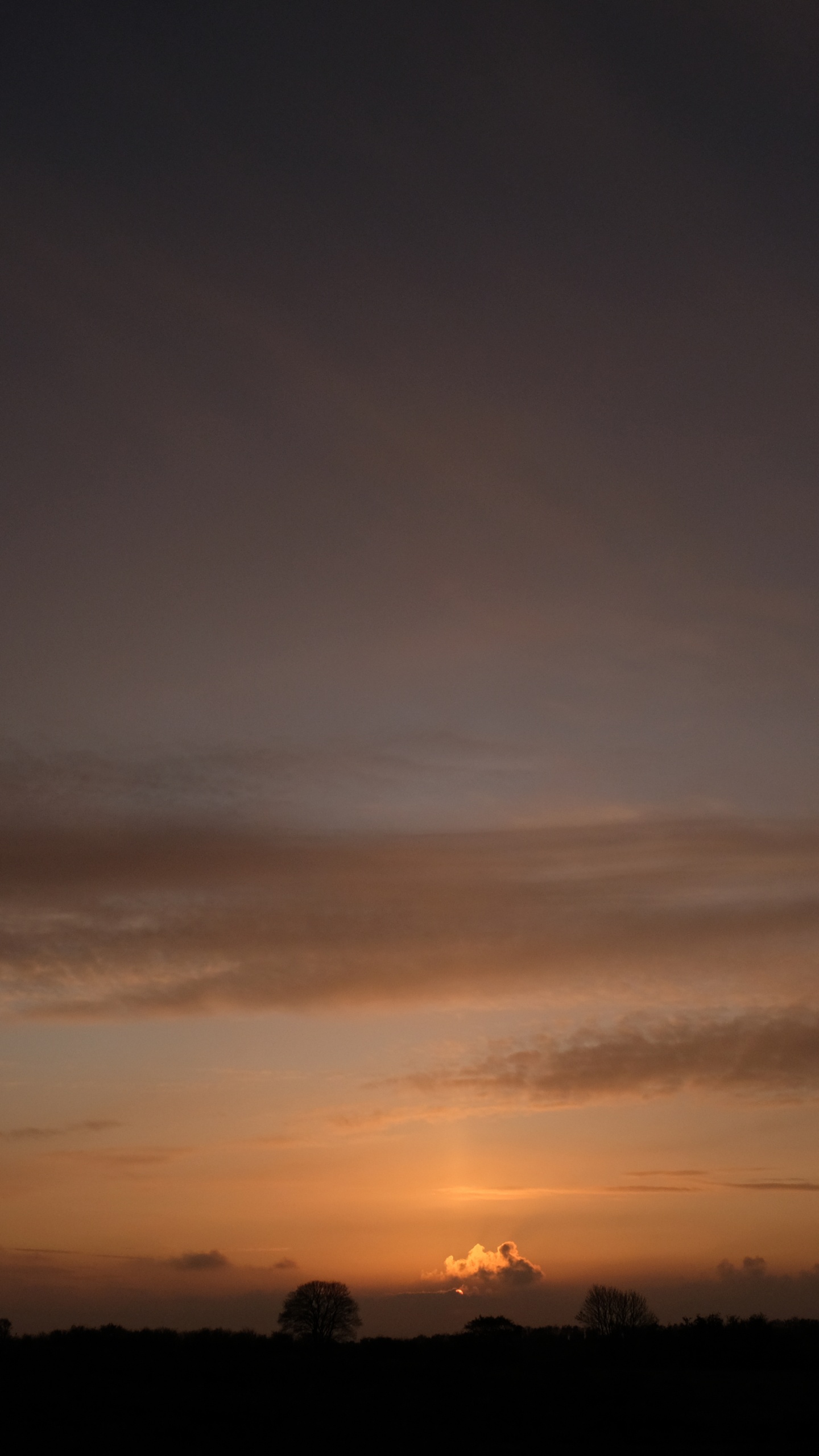 天空, 晚上, 余辉, 积云, 日落 壁纸 1440x2560 允许