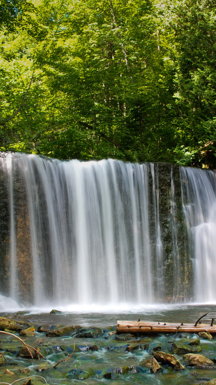 Cascades au Milieu de la Forêt. Wallpaper in 750x1334 Resolution