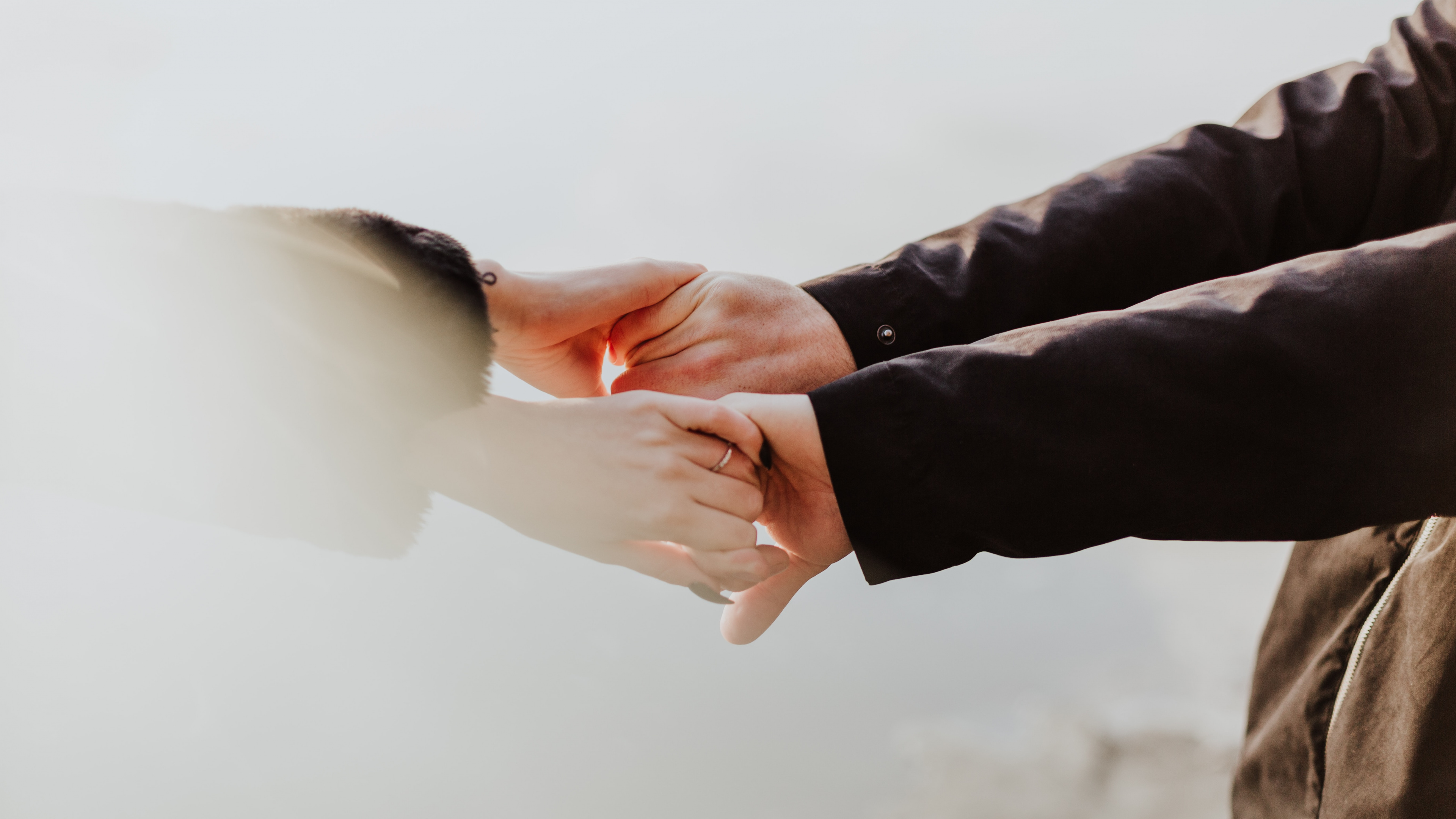 Person in Black Long Sleeve Shirt Holding White Bird. Wallpaper in 3840x2160 Resolution