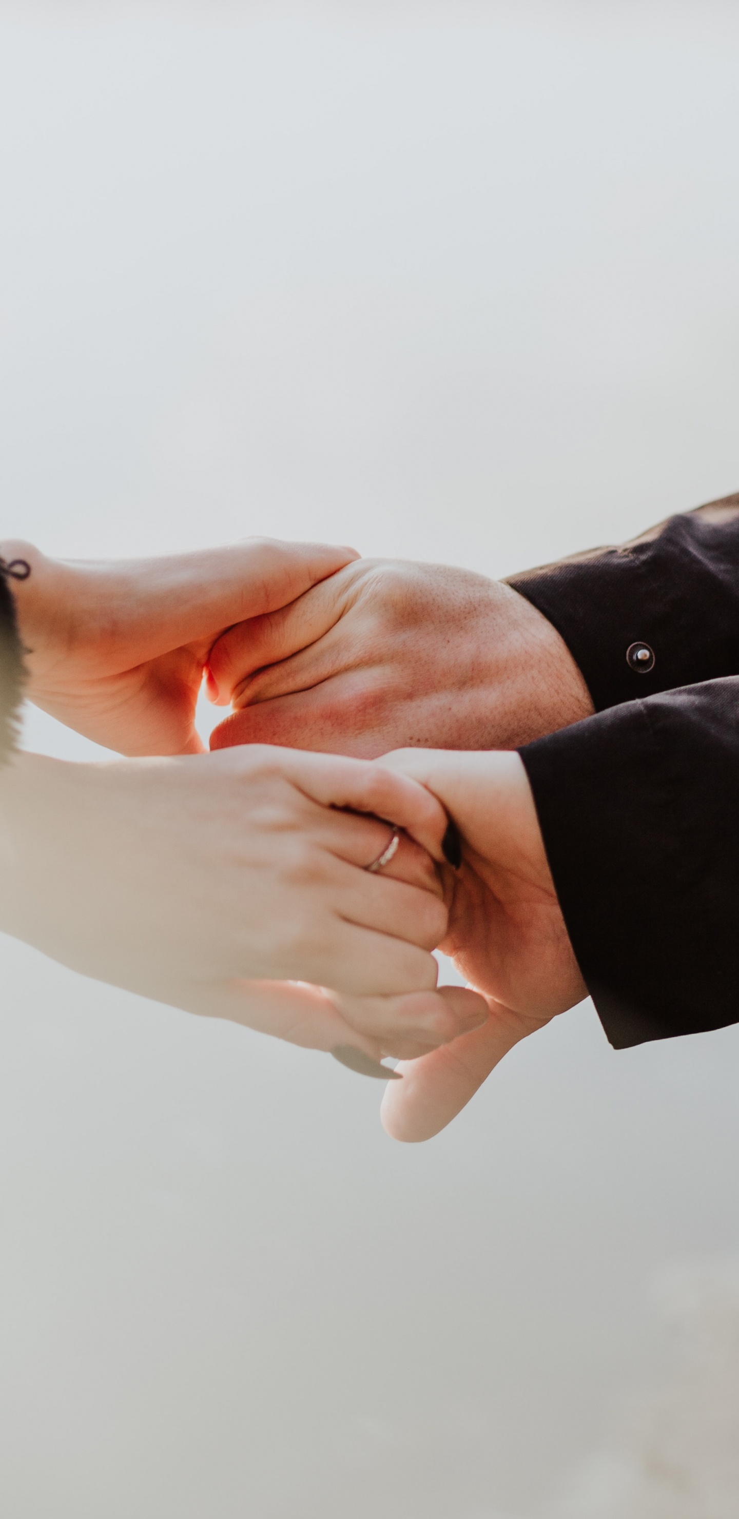 Personne en Chemise Noire à Manches Longues Tenant un Oiseau Blanc. Wallpaper in 1440x2960 Resolution