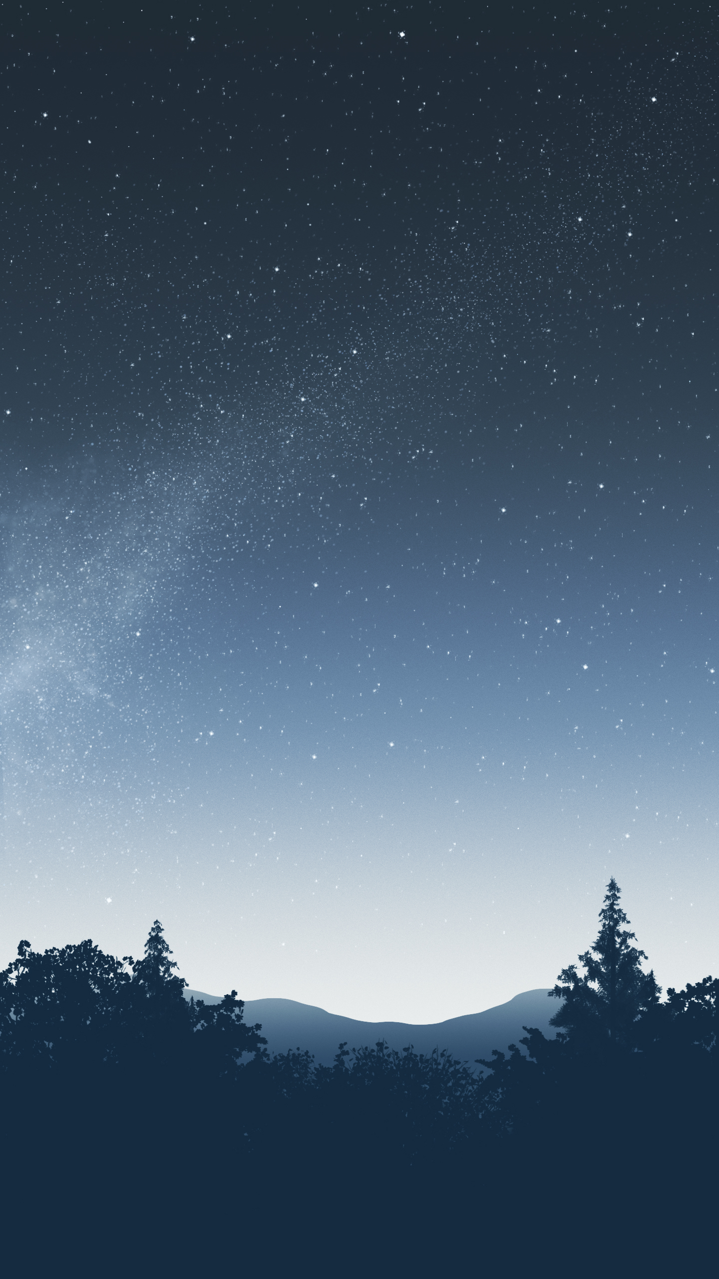 star, black spruce, night, constellation, spruce