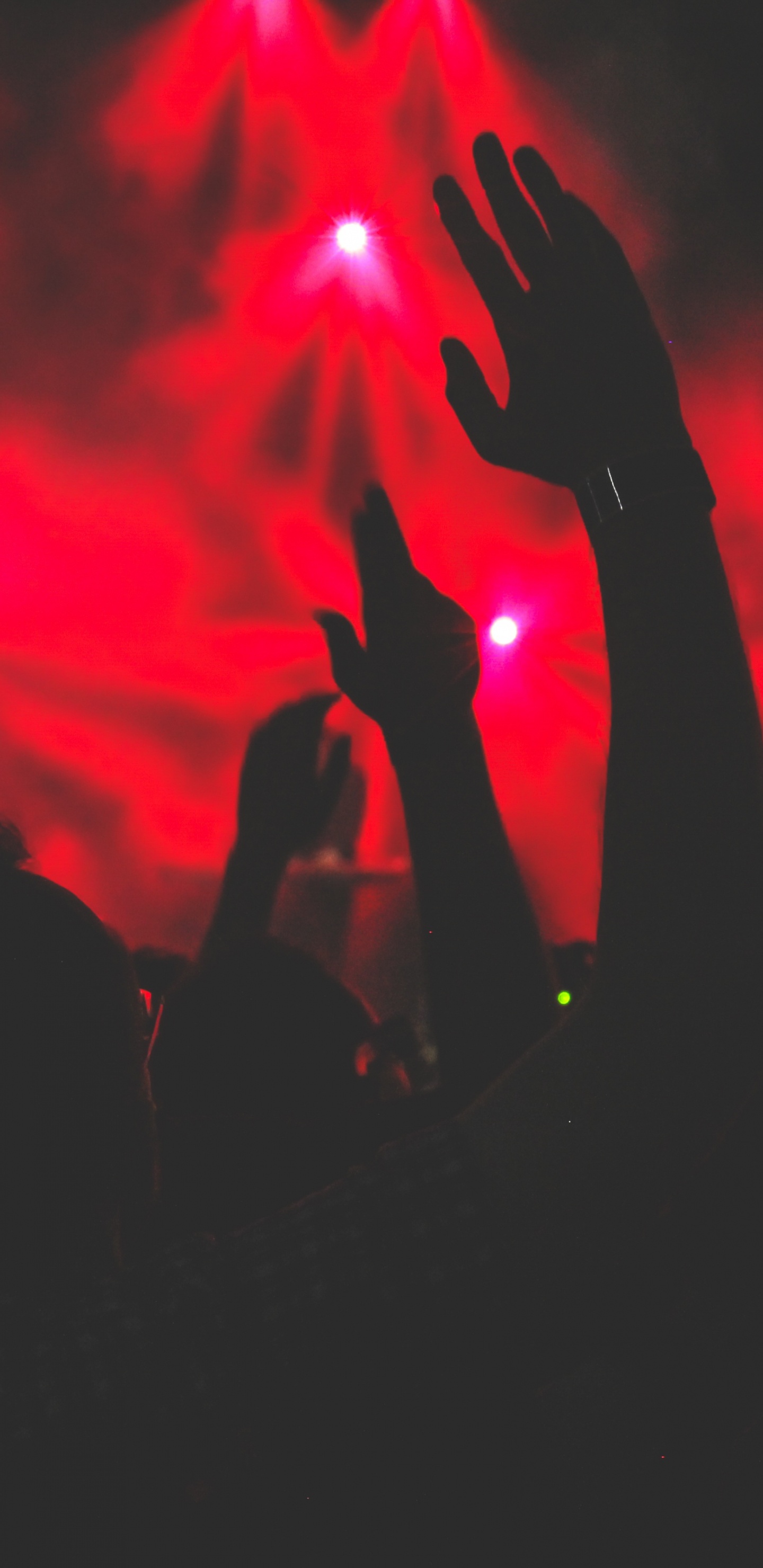 Concierto, Entretenimiento, Rendimiento, Rojo, Luz. Wallpaper in 1440x2960 Resolution