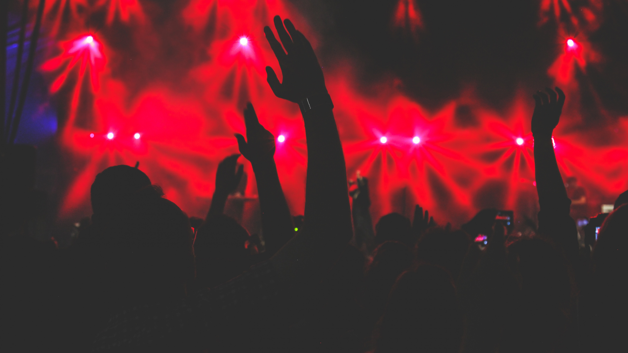 Concierto, Entretenimiento, Rendimiento, Rojo, Luz. Wallpaper in 2560x1440 Resolution