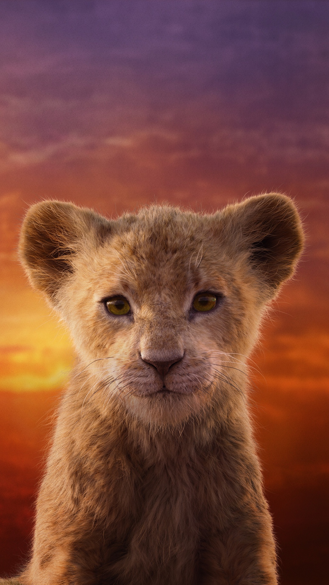 Nala Lion King Live Action, Nala, Simba, Lion, Walt Disney Pictures. Wallpaper in 1080x1920 Resolution