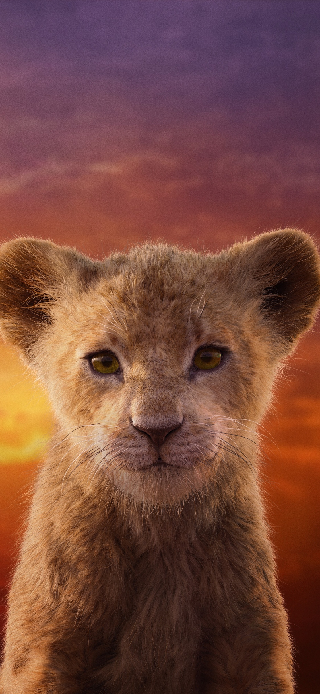 Nala Lion King Live Action, Nala, Simba, Lion, Walt Disney Pictures. Wallpaper in 1125x2436 Resolution