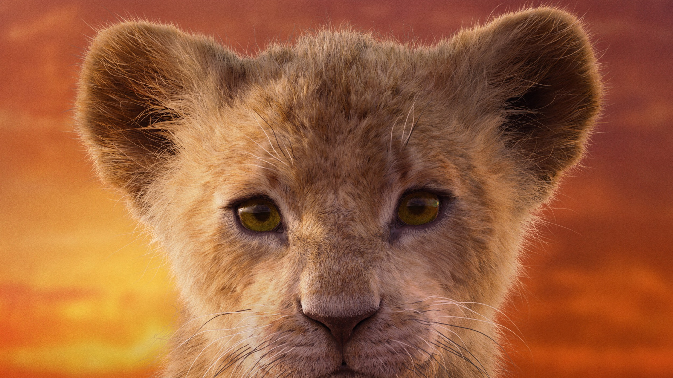 Nala Lion King Live Action, Nala, Simba, Lion, Walt Disney Pictures. Wallpaper in 1366x768 Resolution