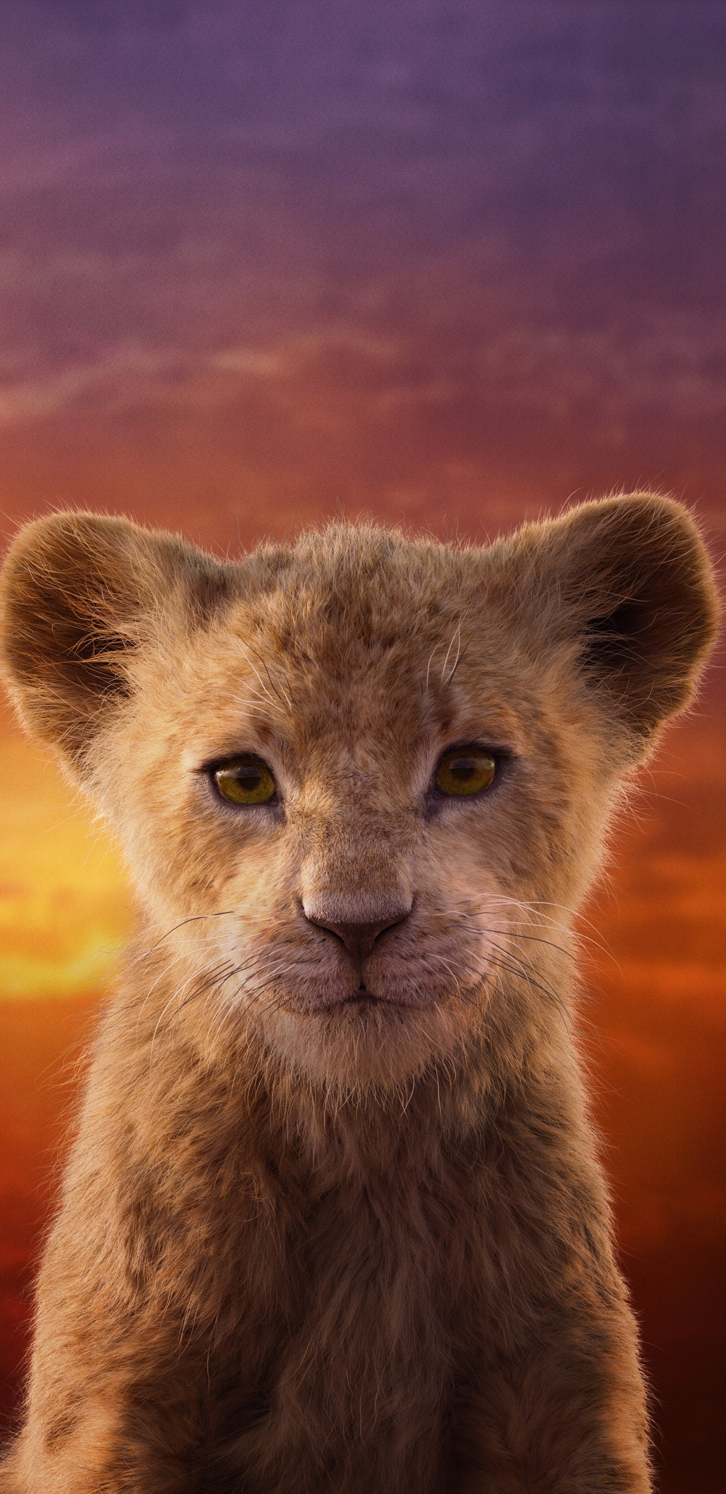 Nala Lion King Live Action, Nala, Simba, Lion, Walt Disney Pictures. Wallpaper in 1440x2960 Resolution