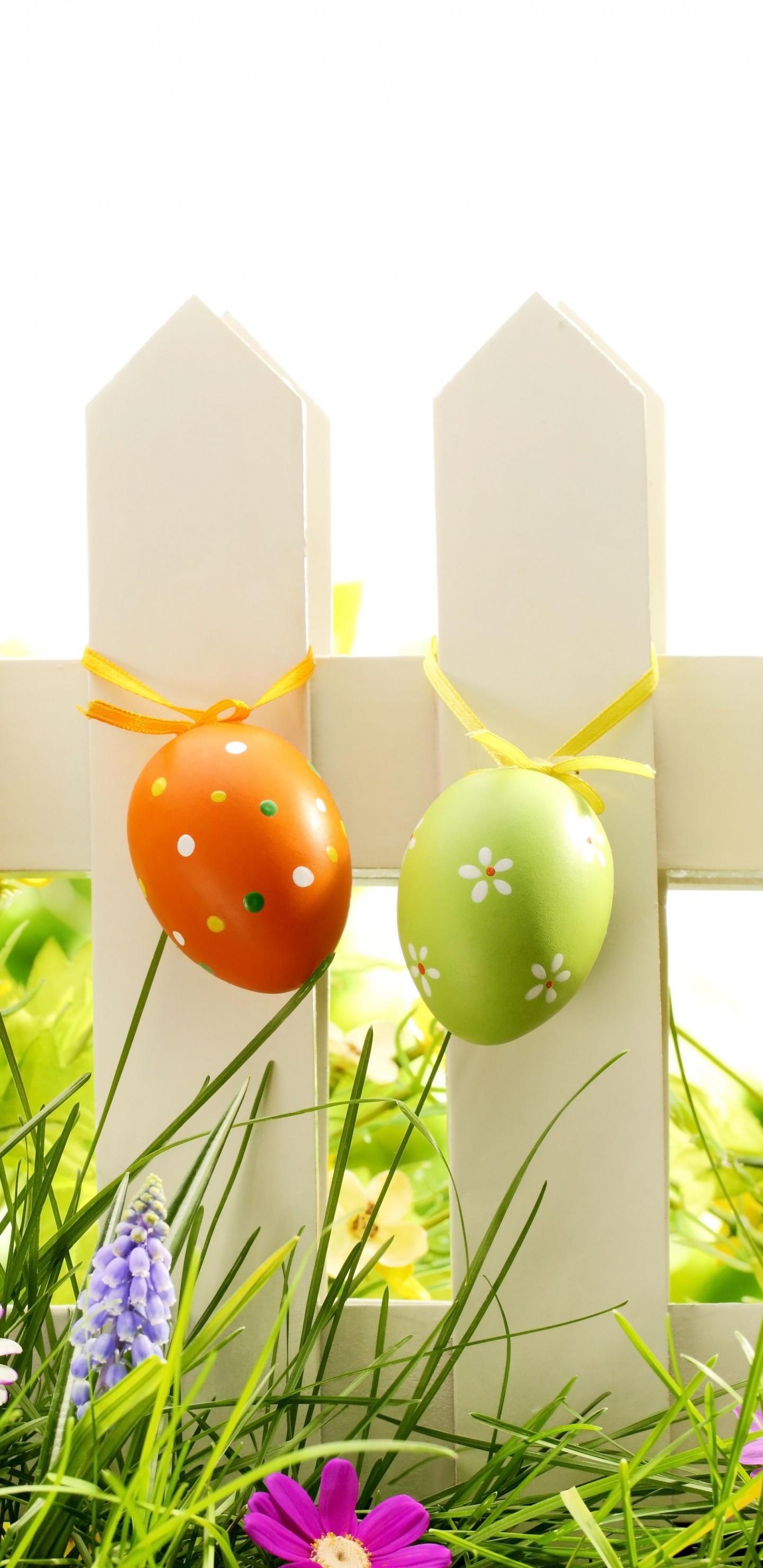 Easter Egg, Holiday, Grass, Meadow, Easter. Wallpaper in 1440x2960 Resolution