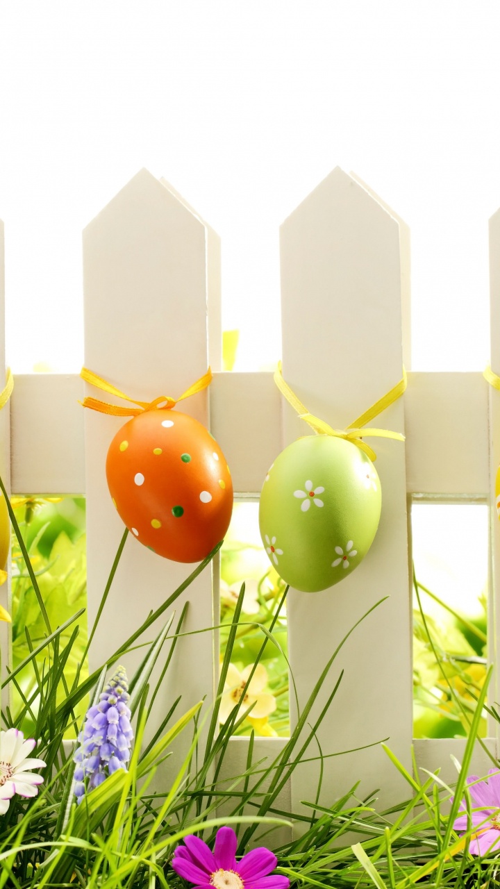 Osterei, Gras, Wiese, Ostern, Handhelds. Wallpaper in 720x1280 Resolution