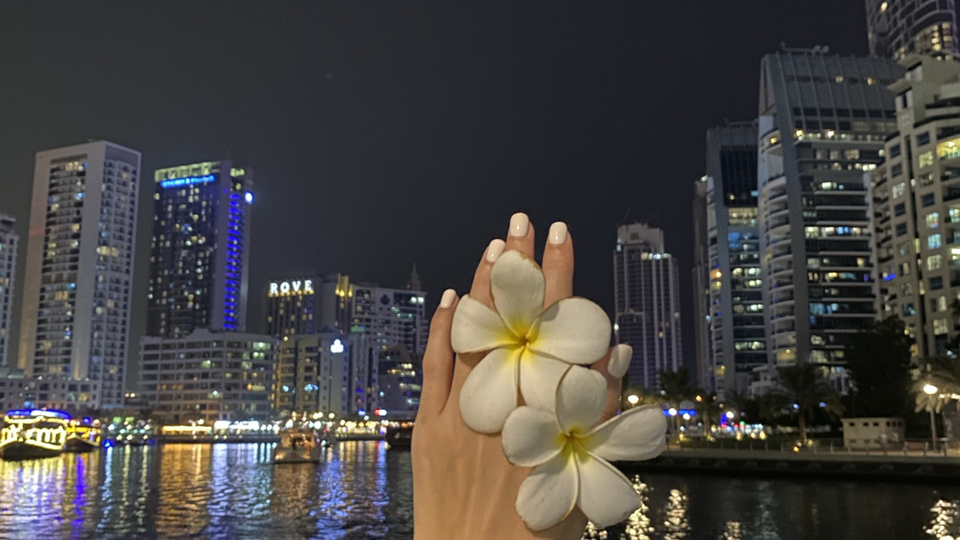 反射, 塔块, 大都会, 城市景观, 公寓 壁纸 1366x768 允许