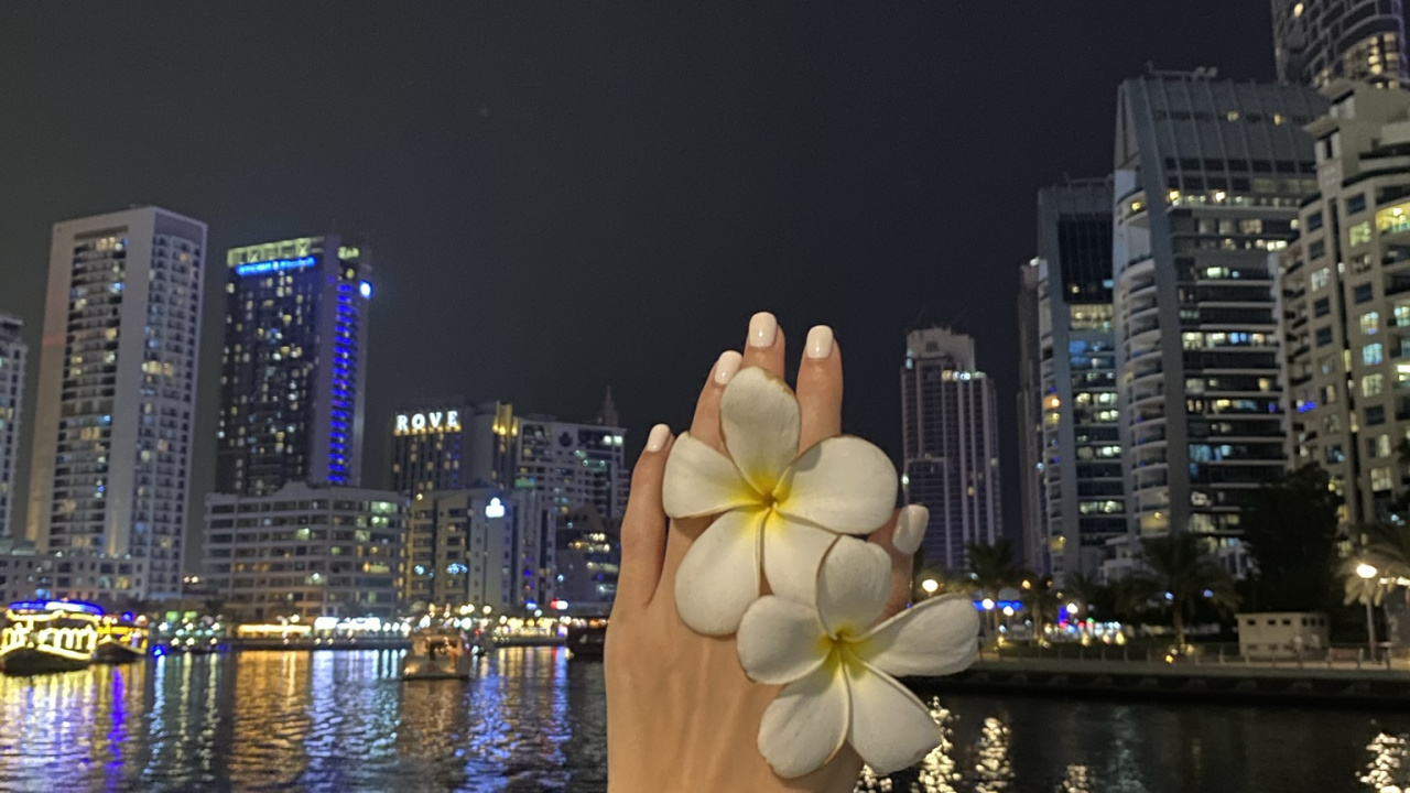 Reflexión, Agua, Torre de Bloques, Pétalo, Urbe. Wallpaper in 1280x720 Resolution