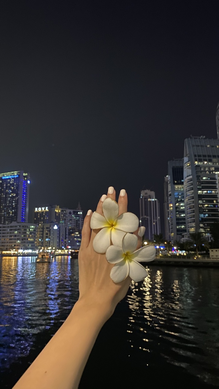 Reflexión, Agua, Torre de Bloques, Pétalo, Urbe. Wallpaper in 720x1280 Resolution