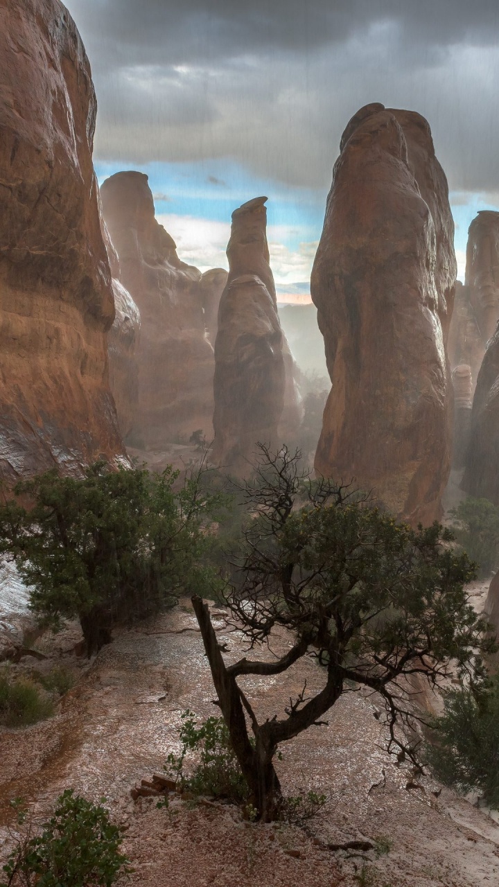 Brown Rock Formation Under Blue Sky During Daytime. Wallpaper in 720x1280 Resolution