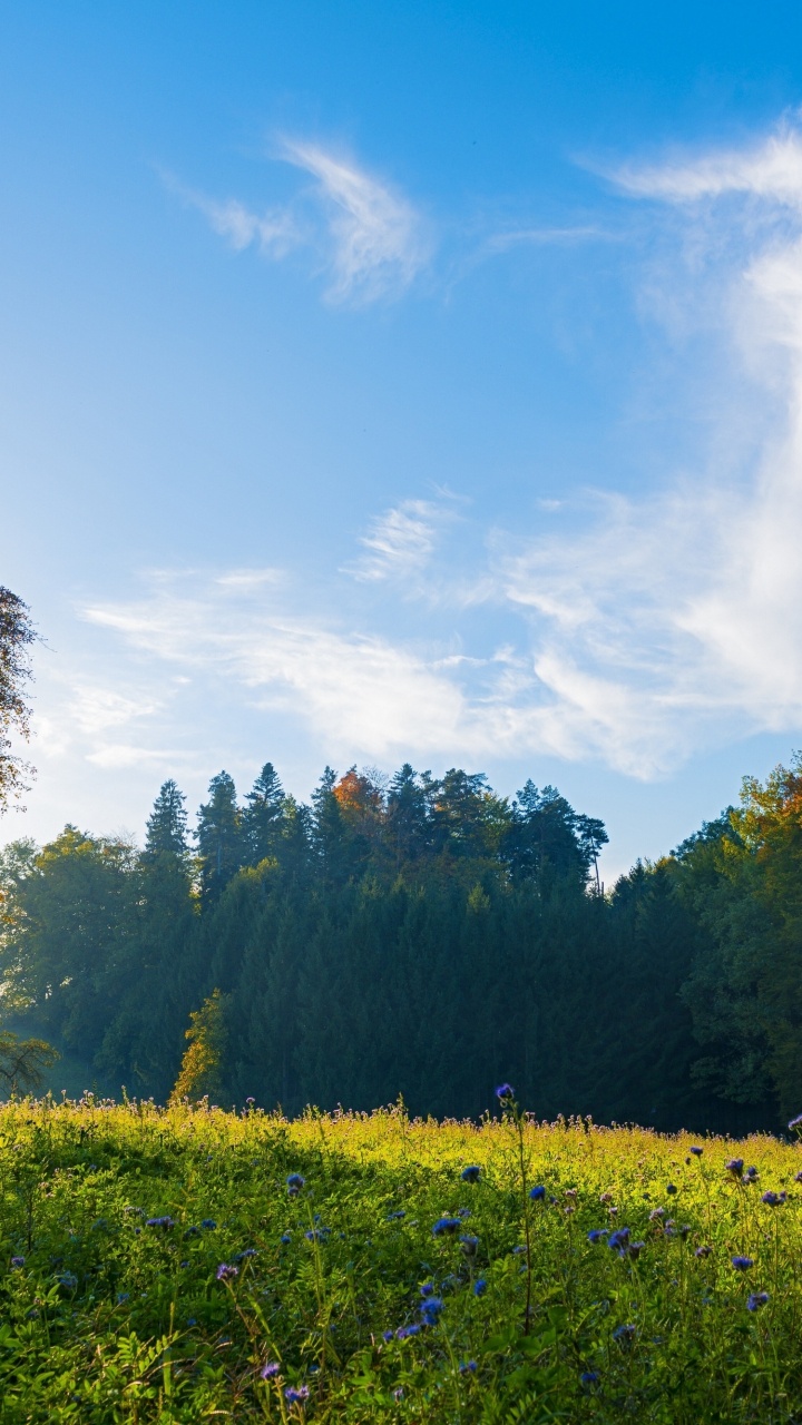 Morning Scenery in Switzerland, Switzerland, Landscape, Cloud, Plant. Wallpaper in 720x1280 Resolution