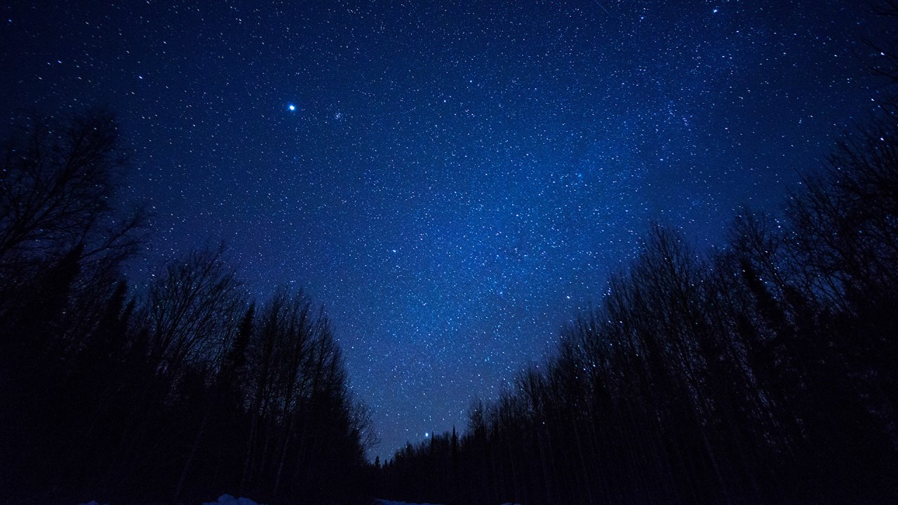 Silhouette D'arbres Sous Ciel Bleu Pendant la Nuit. Wallpaper in 1280x720 Resolution