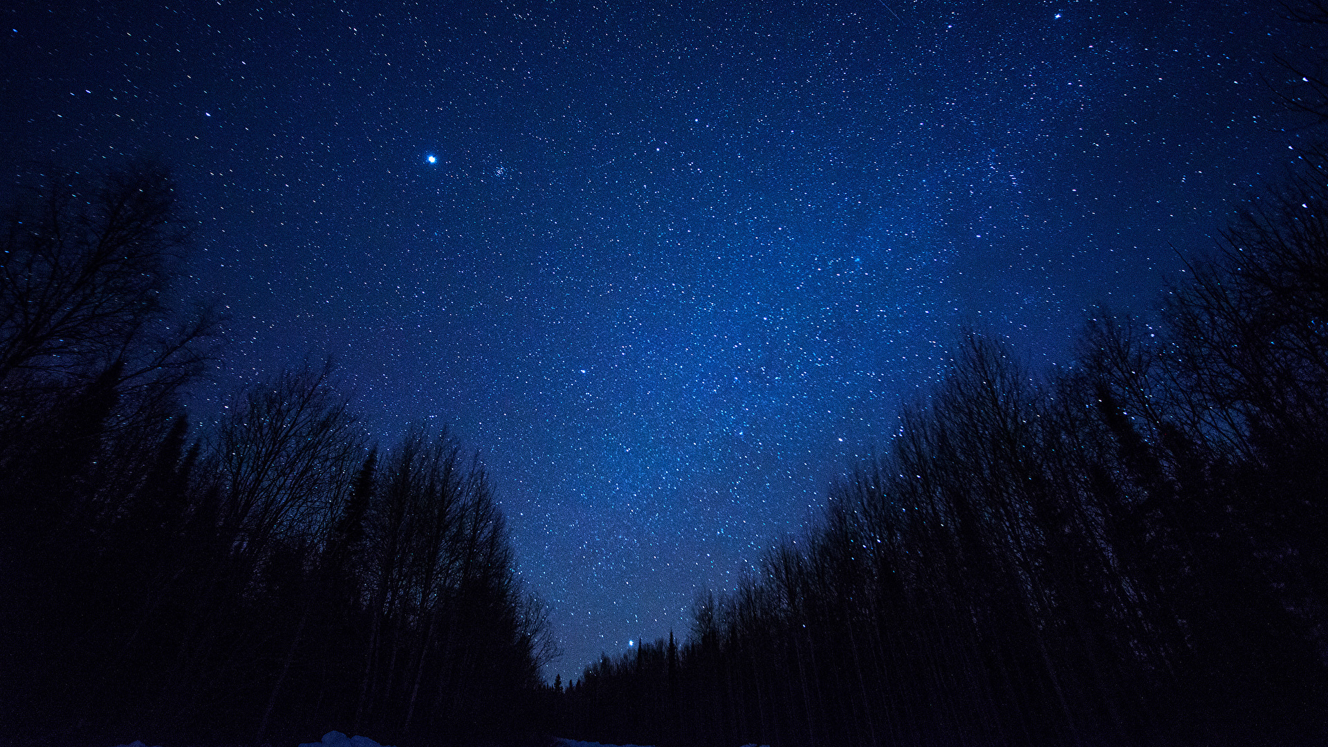 Silhouette D'arbres Sous Ciel Bleu Pendant la Nuit. Wallpaper in 1920x1080 Resolution