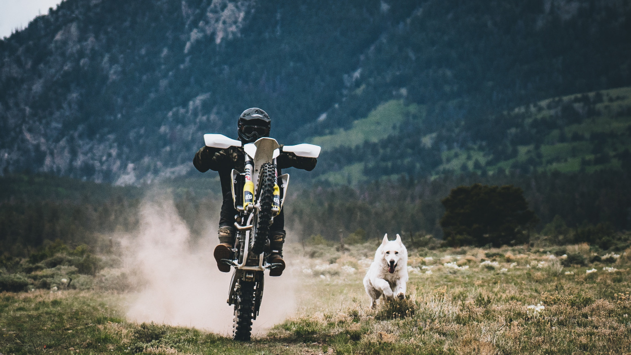 White and Black Robot on Green Grass Field During Daytime. Wallpaper in 1280x720 Resolution