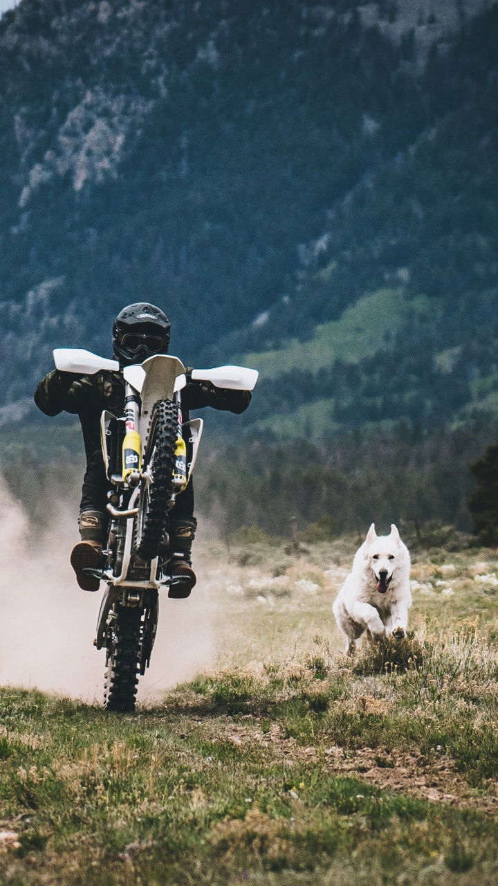 White and Black Robot on Green Grass Field During Daytime. Wallpaper in 720x1280 Resolution