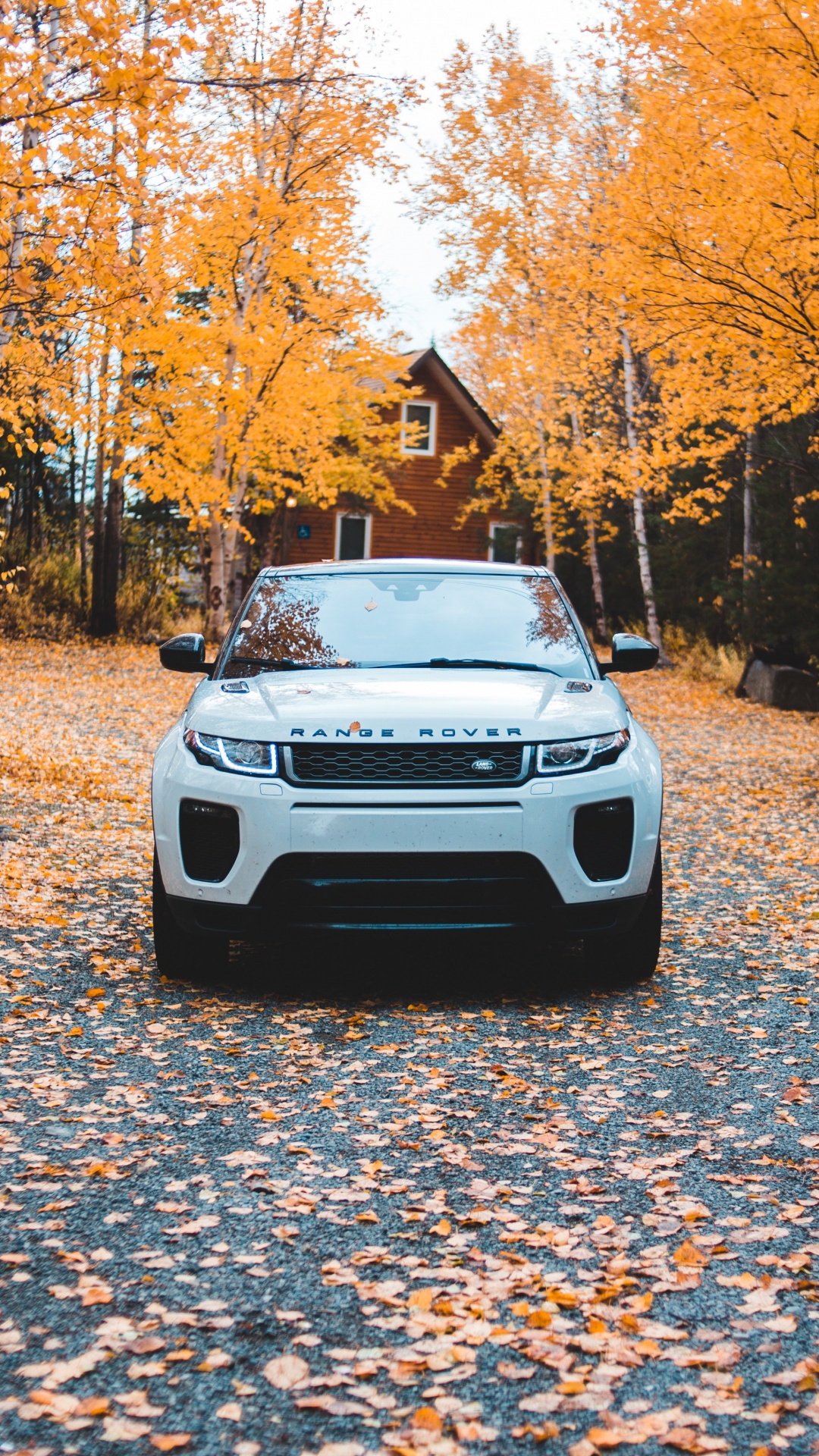 White Car Parked on Brown Dried Leaves on Ground During Daytime. Wallpaper in 1080x1920 Resolution