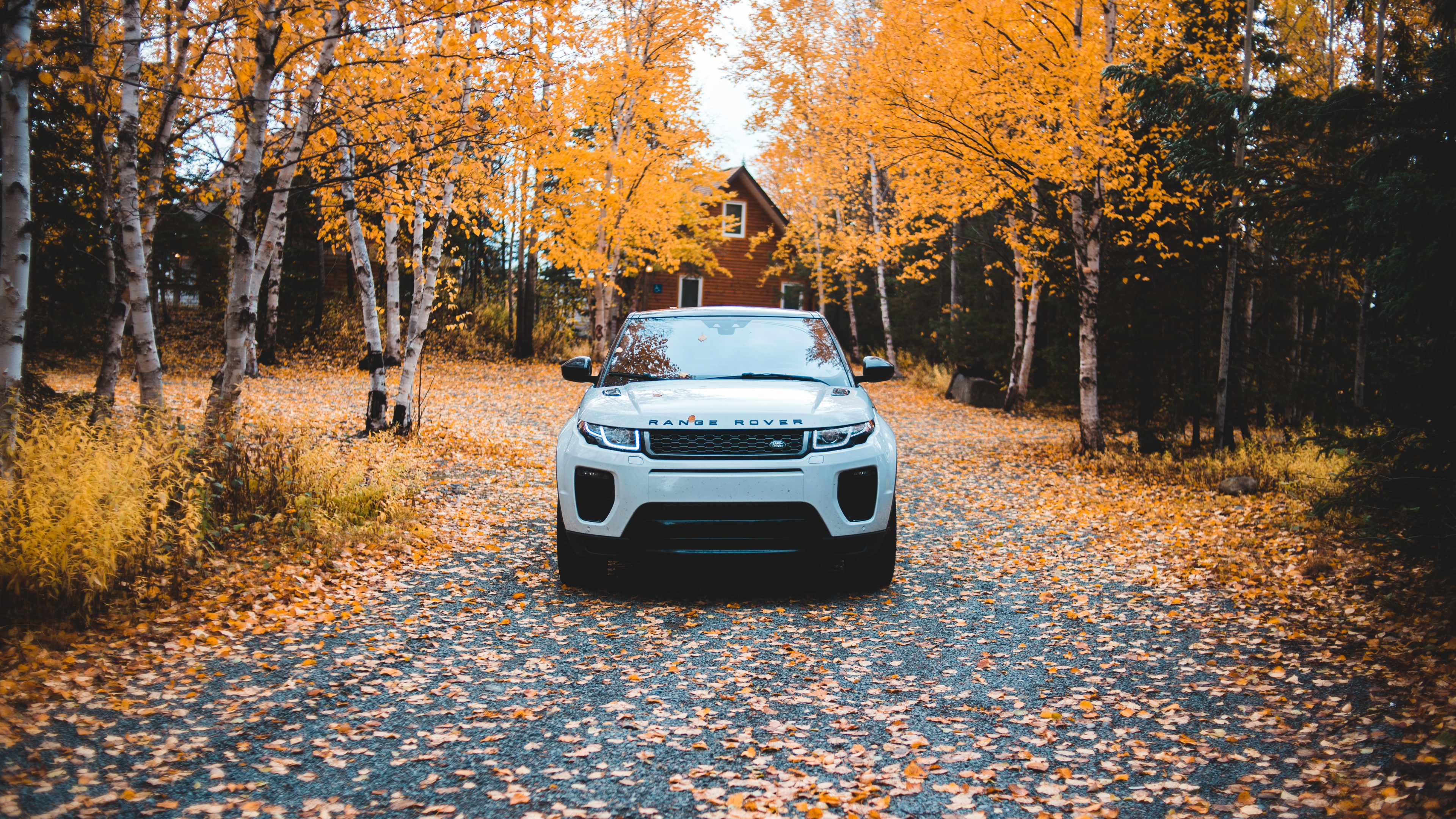 White Car Parked on Brown Dried Leaves on Ground During Daytime. Wallpaper in 3840x2160 Resolution