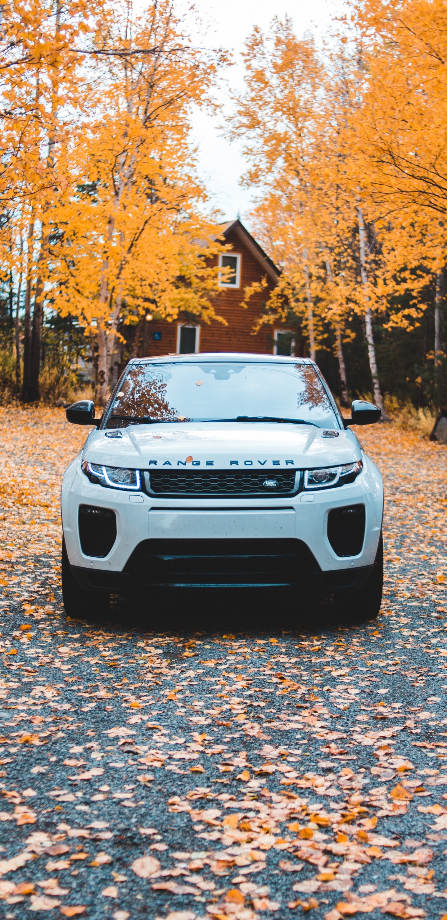 Voiture Blanche Garée Sur Des Feuilles Séchées Brunes au Sol Pendant la Journée. Wallpaper in 1440x2960 Resolution