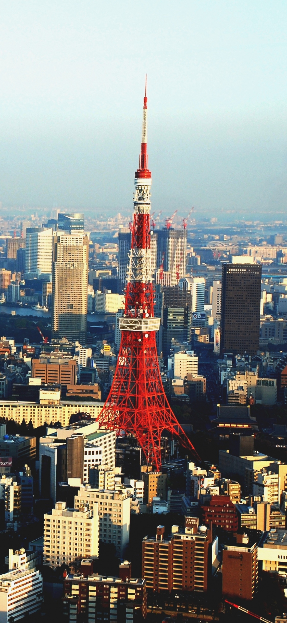 Aerial View of City Buildings During Daytime. Wallpaper in 1125x2436 Resolution