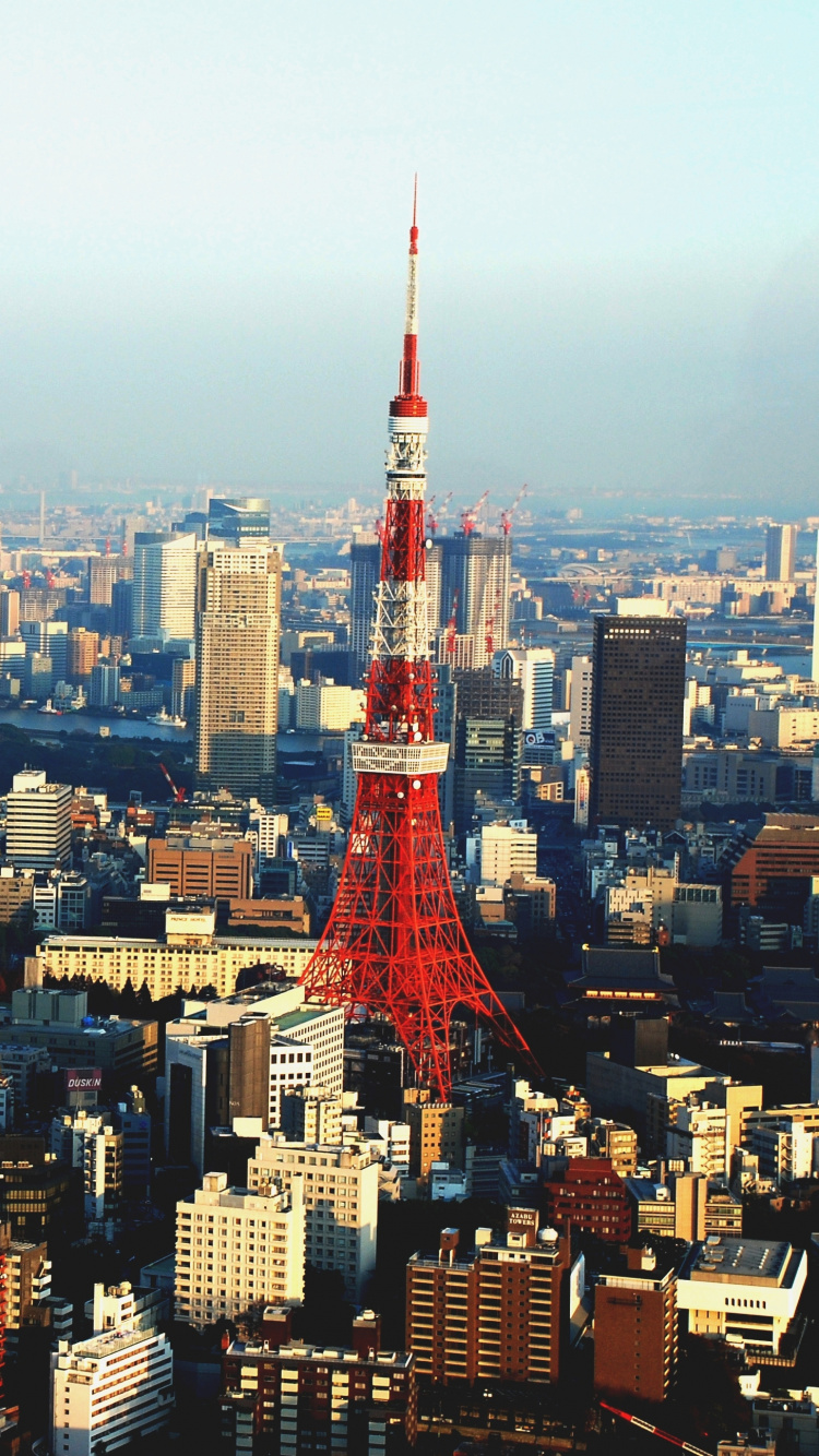 Aerial View of City Buildings During Daytime. Wallpaper in 750x1334 Resolution