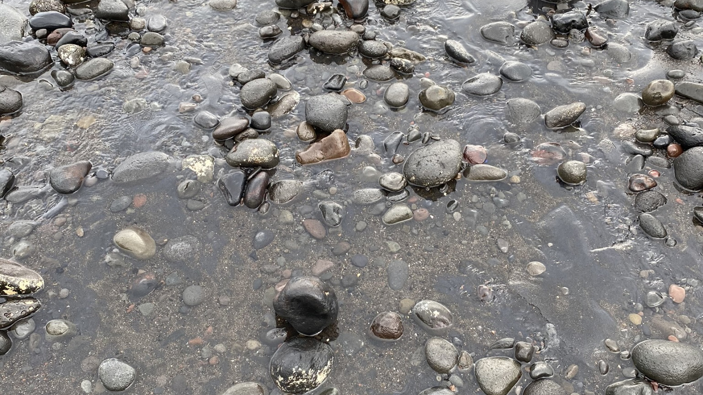 Water, Mudflat, Stream Bed, Rock, Grey. Wallpaper in 1366x768 Resolution