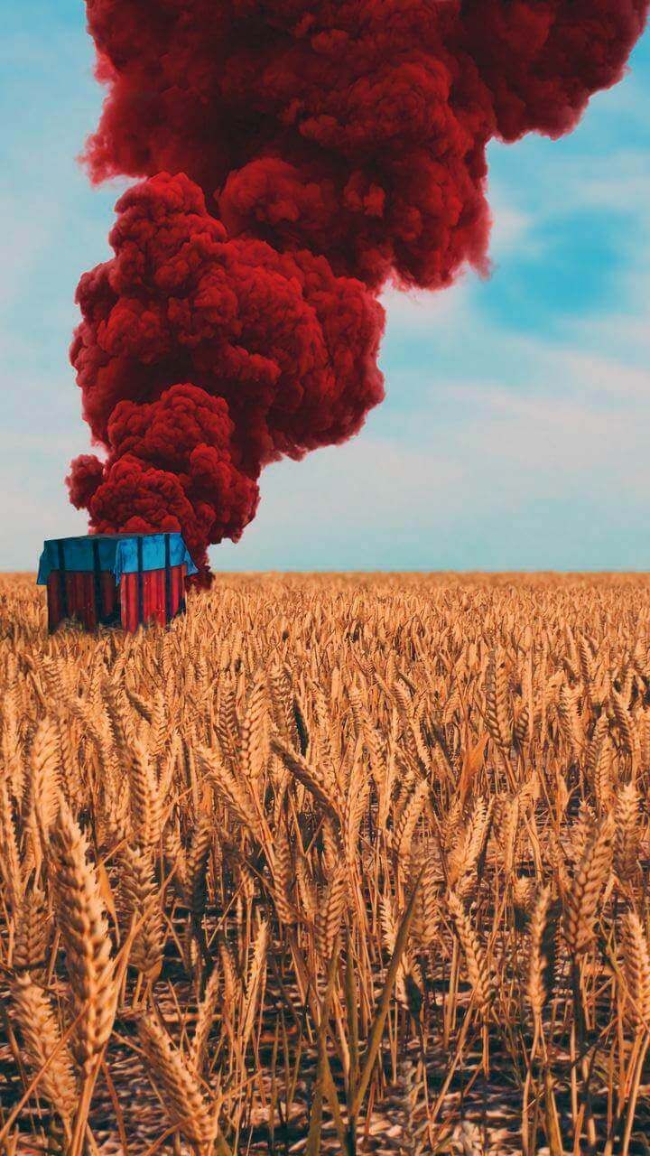 Ios, Android, Plant, Cloud, Flower. Wallpaper in 720x1280 Resolution