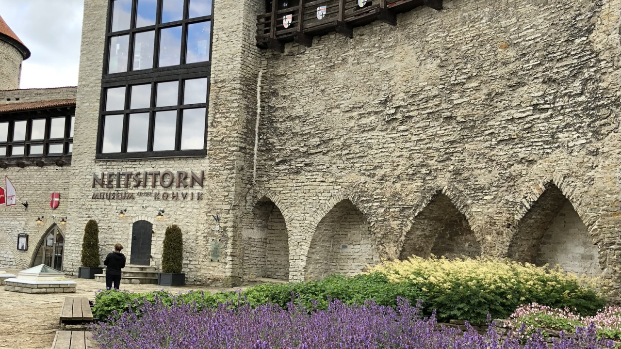 Inglés Lavanda, Ciencia, la Física, Morado, Lavanda. Wallpaper in 1280x720 Resolution