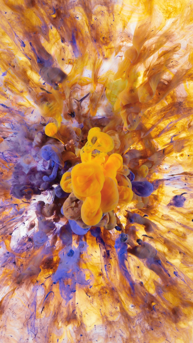 Biologie Marine, Dell Précision 15 6 Pouces, Dell, Tablet, Intel. Wallpaper in 750x1334 Resolution