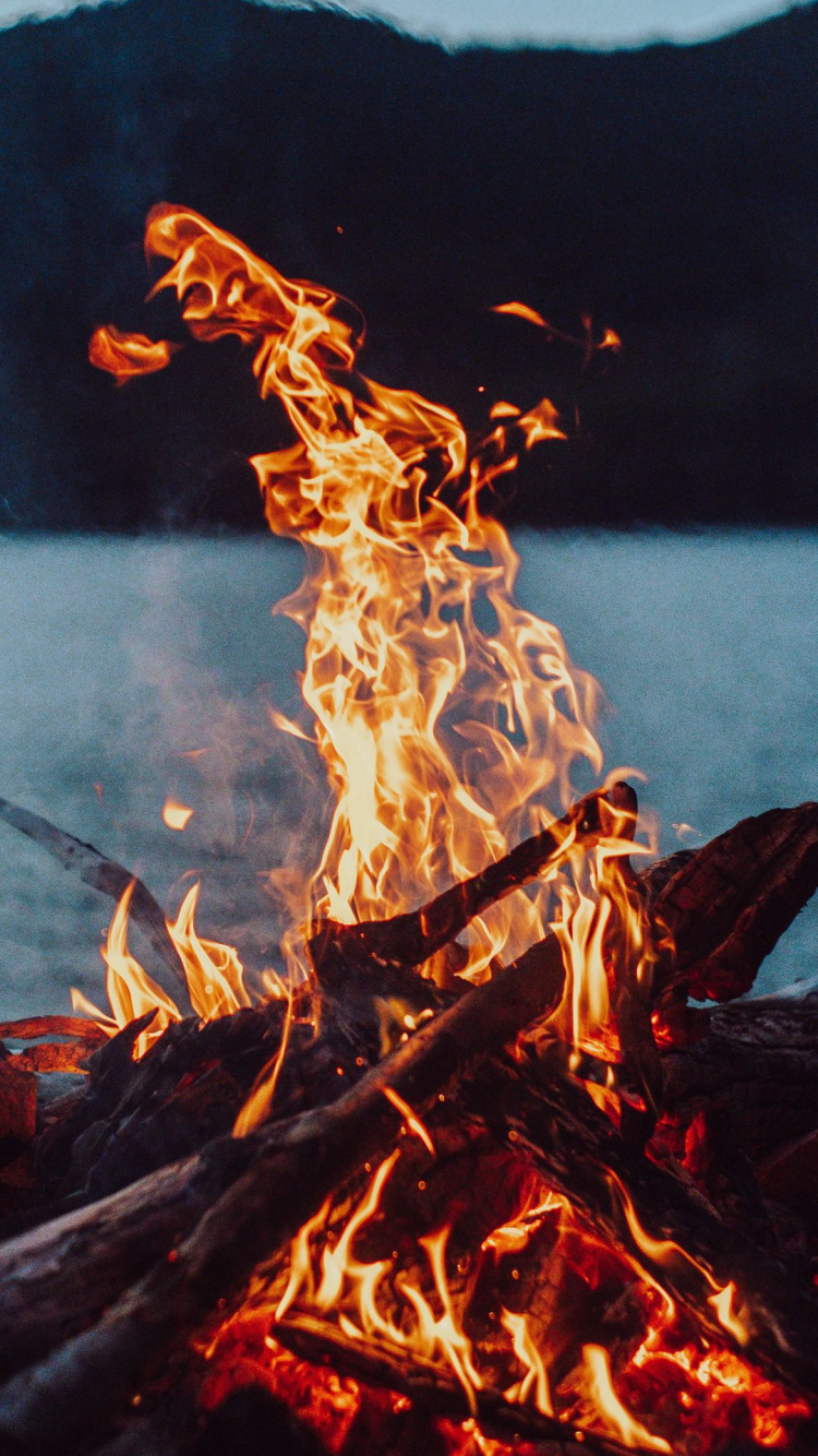 Bonfire, Fire, Flame, Table, Light. Wallpaper in 750x1334 Resolution