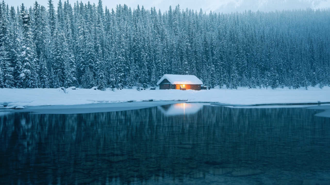 Snow Covered Field and Trees During Daytime. Wallpaper in 1280x720 Resolution