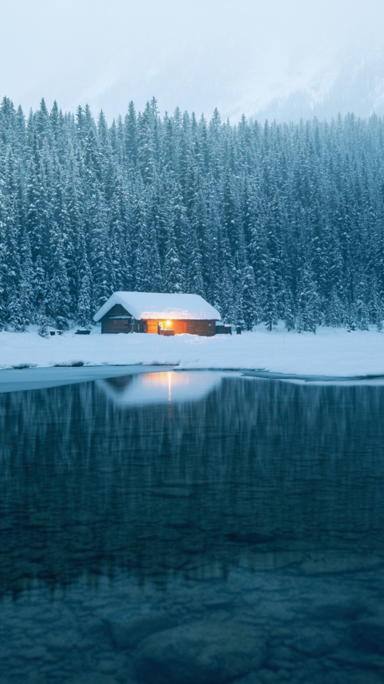 Snow Covered Field and Trees During Daytime. Wallpaper in 750x1334 Resolution