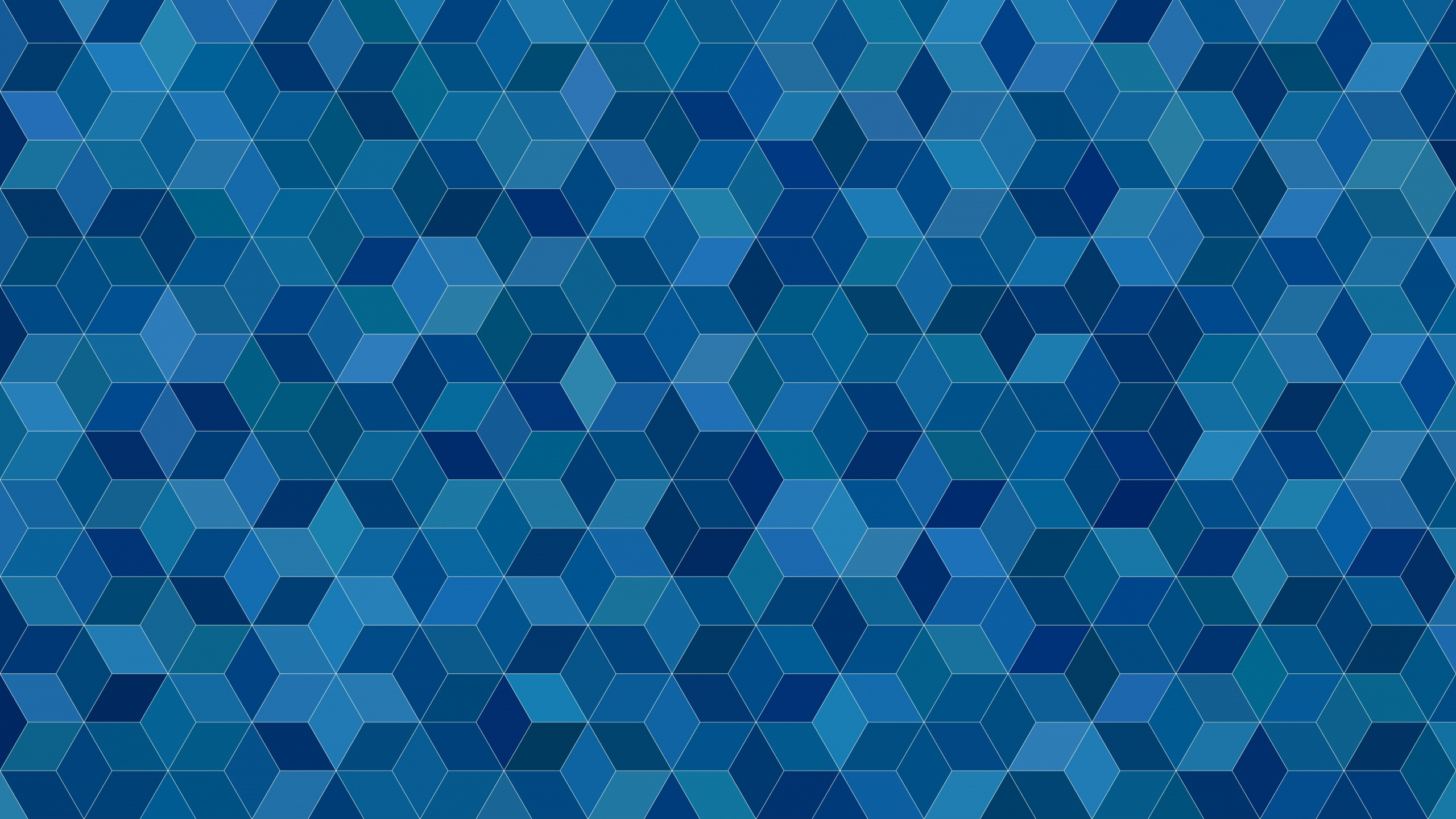 Blue and White Checkered Textile. Wallpaper in 2560x1440 Resolution